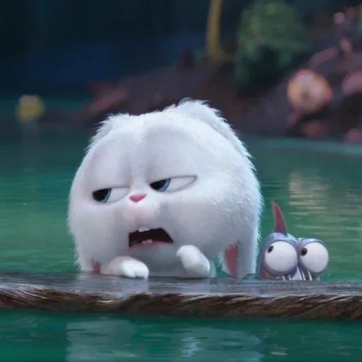 animals are cute, the secret life of pets, the secret life of pet rabbit, the secret life of gigit's pet, the secret life of snowball pets