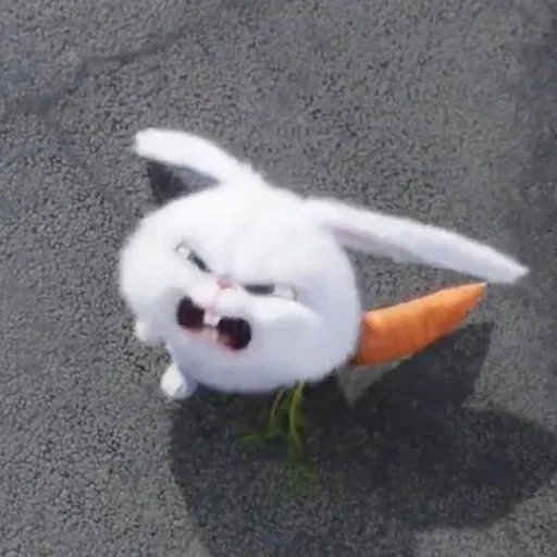 conejito malvado, conejo enojado, conejo malvado, liebre malvada con zanahorias, la vida secreta de las mascotas es el conejo malvado