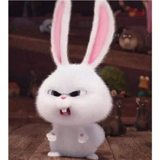 rabbit irritado, bola de neve de coelho, vida secreta do coelho, black bunny aesthetic, little life of pets rabbit