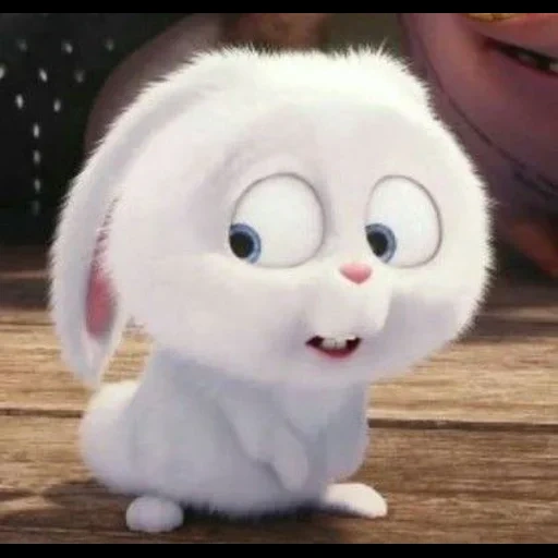 bola de neve de coelho, little life of pets rabbit, última vida de animais de estimação snowball, last life of pets de ball de snow, última vida de animais de estimação rabbit snowball