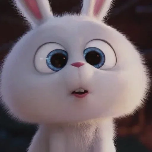 hase, bunny ist wütend, böser hase, cartoon kaninchen, cartoon kaninchen geheimes leben von haustieren