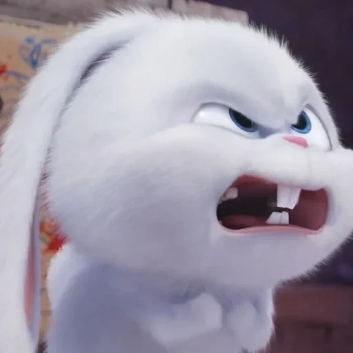 boule de neige de lapin, bunny cartoon secret life, la vie secrète des animaux de compagnie, la vie secrète d'un animal de compagnie de dessin animé de lapin, lapin boule de neige vie secrète animal de compagnie 1