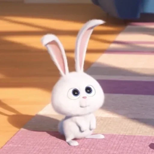 little rabbit, bunny, rabbit, snowball rabbit, rabbit hilarious