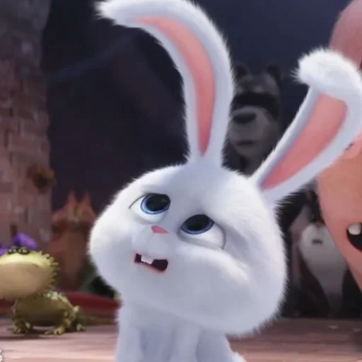 boule de neige de lapin, cartoon de lapin, bunny cartoon secret life, bunny cartoon secret life, la vie secrète du lapin de compagnie
