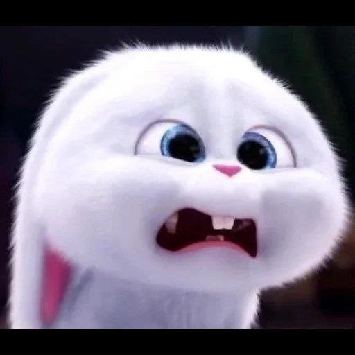 bola de neve de coelho, insira a solicitação, last life of pets de ball de snow, vida secreta dos animais de estimação 2 bola de neve, última vida de animais de estimação rabbit snowball