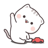 Cutie Cat - Chan 2