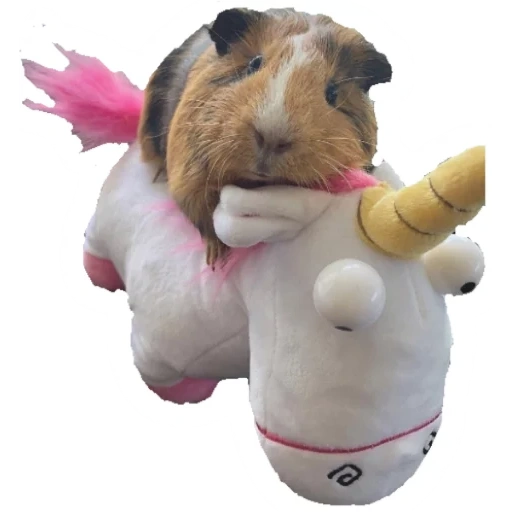 buzz's mumps, guinea pig, plush toy 1 toy flip giraffe hippo 12cm, plush toy 1 toy flip dragon unicorn 12cm, plush toy woody o time pull back horse brown 18cm