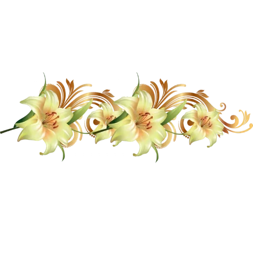 цветы вставки, цветы украшение, цветочные узоры фотошопа, желтая лилия прозрачном фоне, татарский цветок прозрачном фоне
