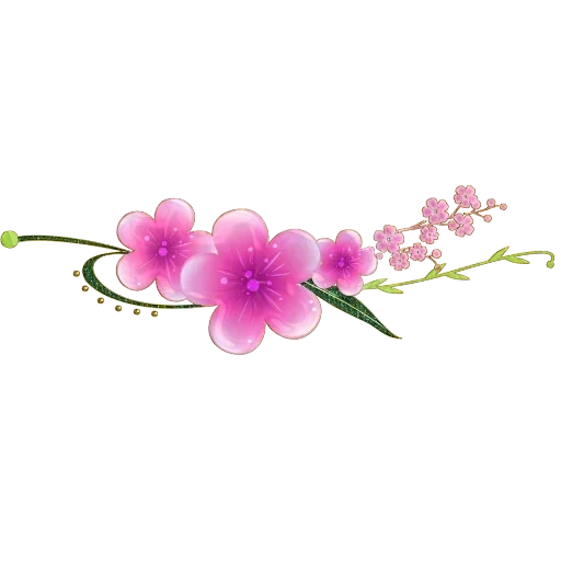 цветок фон, ветка сакуры, розовые цветы, цветок сакуры, цветы сакуры белом фоне