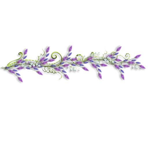 лаванда, цветы лаванда, лавандовый узор, виньетка лавандой, цветочный орнамент лаванда