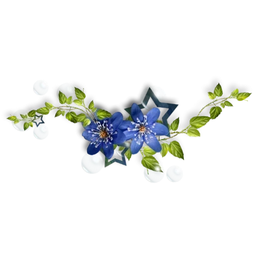 синие цветы, цветы прозрачном, синие цветы кластер, цветочный разделитель, веточка голубых цветов