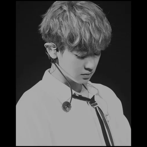 carnell, park chang-lie, exo baekhyun, chanyeol exo, chanyeol púrpura