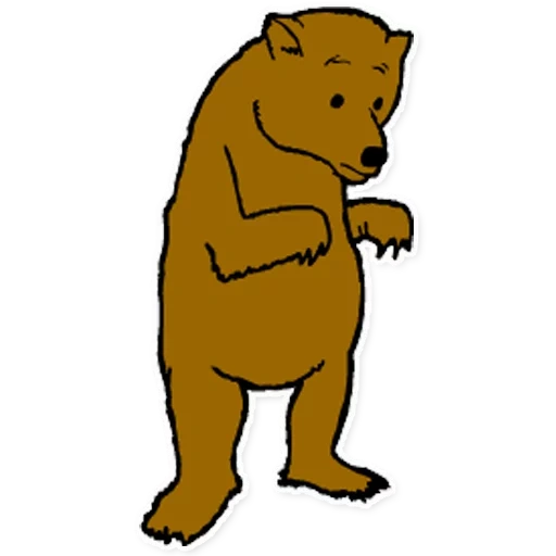 der bär, der kleine bär, der braunbär, the little bear, das wort des bären