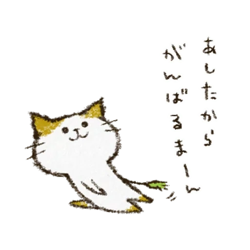 a cat, gato, gato fofo, smally cat, gato japonês