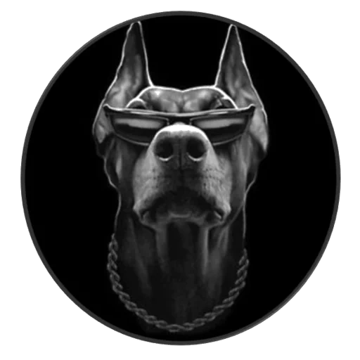 der böse dobermann, die dobermann, dobermann avatar, doberin's lächeln, dobermann black