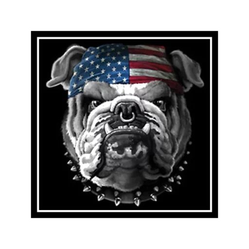 bandana, bandane bulldog, bulldog américain, t-shirt bulldog américain, t-shirt bulldog américain
