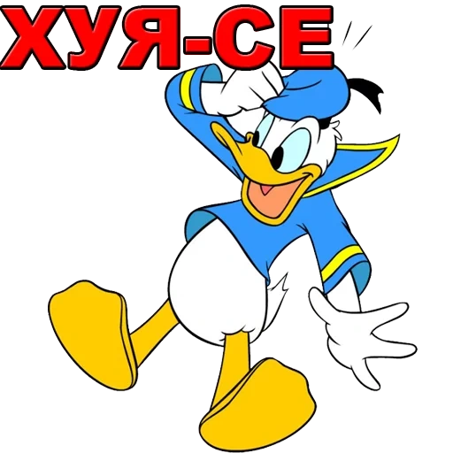 donald, donald, donald duck, donald duck 2019, donald duck daki dak 2020