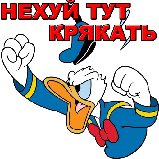 donald, pato donald, pato donald 18, donald duck goin quackers