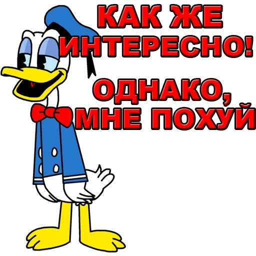 die ente, funny, donald, donald, donald duck
