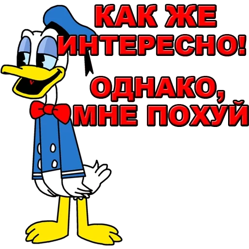 утка, прикол, donald, дональд, дональд дак