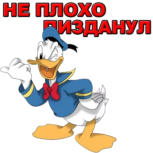 pato tamiflu, daisy duck, pato donald, pato donald duck, pato tamiflu pato donald