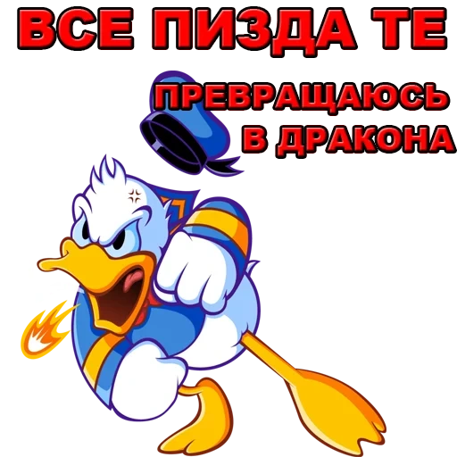 drôle, donald duck, clip de canard, donald duck est en colère, donald duck en colère