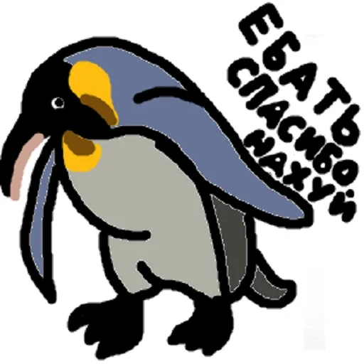 pinguino, mem penguin, uccello di maiale, penguin bow, pinguino nero