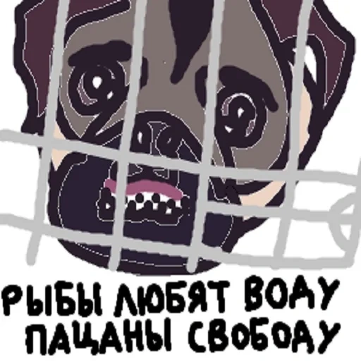 pug, мопс, прикол, мопс трафарет