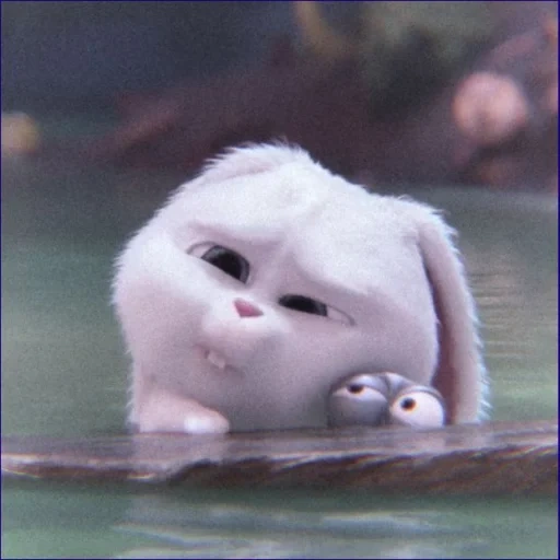 os animais são fofos, animais engraçados, rabbit da vida de animais de estimação, última vida de animais de estimação snowball, little life of pets rabbit