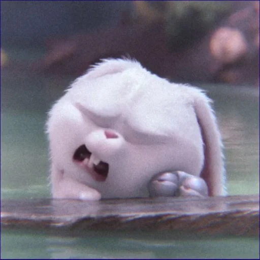 bola de neve de coelho, rabbit da vida de animais de estimação, vida secreta dos animais 2, última vida de animais de estimação snowball, little life of pets rabbit