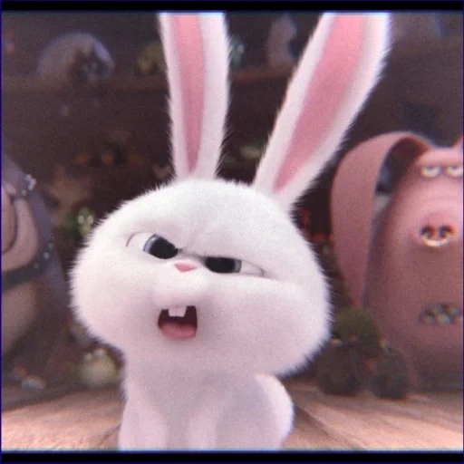 conejito malvado, conejo enojado, bola de nieve de conejo, caricatura de bola de nieve de conejo satisfecho, pequeña vida de mascotas conejo