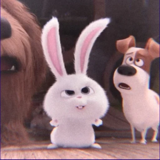 la vita segreta degli animali domestici, vita segreta degli animali domestici 2, little life of pets rabbit, ultima vita di animali domestici snowball, cartoon rabbit secret life of pets 3