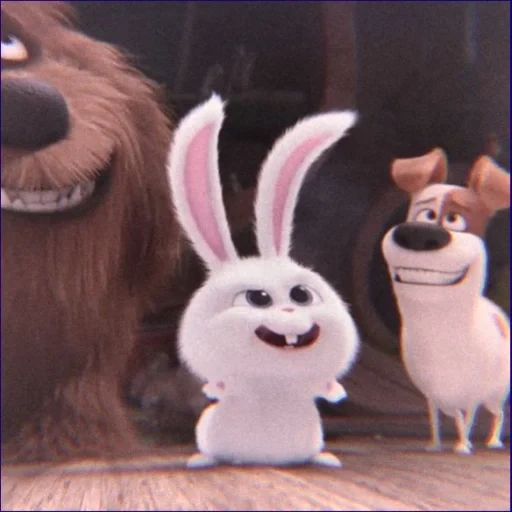 hare of cartoon secret life, cartoon rabbit secret life, the secret life of pets, snowball last life of pets, little life of pets rabbit