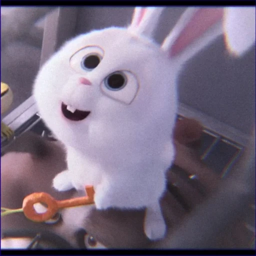 sweet bunny, snowball rabbit, hare of cartoon secret life, the secret life of pets, cartoon rabbit secret life