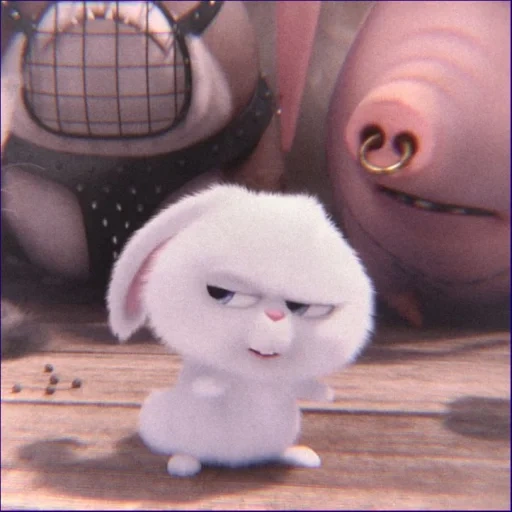 bola de neve de coelho, a vida secreta dos animais de estimação, last life of pets de ball de snow, rabbit secret life of pets, última vida de animais de estimação rabbit snowball