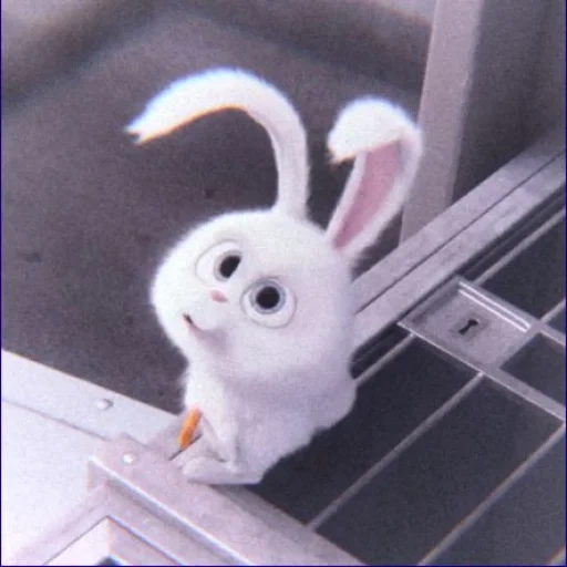 rabbit, bunny, a toy, the rabbit is funny, little life of pets rabbit