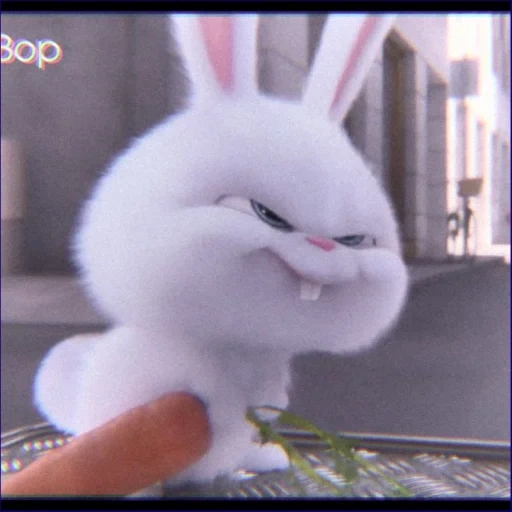 angry rabbit, rabbit snowball, the secret life of pets hare, little life of pets rabbit, secret life of pets hare snowball