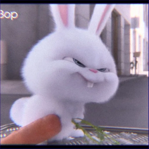 rabbit irritado, bola de neve de coelho, a vida secreta dos animais de estimação, little life of pets rabbit, vida secreta de animais de estimação hare snowball