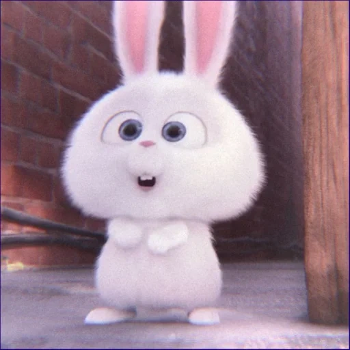 snowball di coniglio, il coniglio è divertente, la vita segreta degli animali domestici hare, piccolo vita degli animali domestici bunny, cartoon rabbit secret life of pets