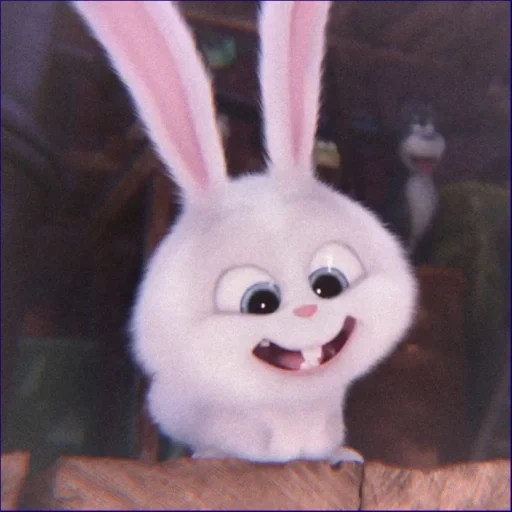 snowball di coniglio, il coniglio è dolce, cartoon bunny secret life, ultima vita di animali domestici snowball, rabbit snowball last life of pets 1