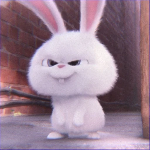snowball, angry rabbit, rabbit snowball, the rabbit is funny, last life of home rabbit