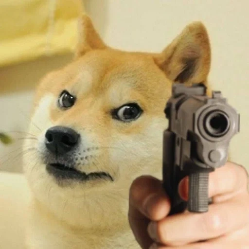 doge, twitter, motivo de cão, fãs de cães lenhosos, pistola de cachorro