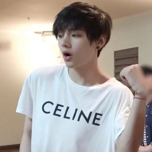 taehyung, kim ta hyun, jung jungkook, taehyung bts, bts v celine t shirt