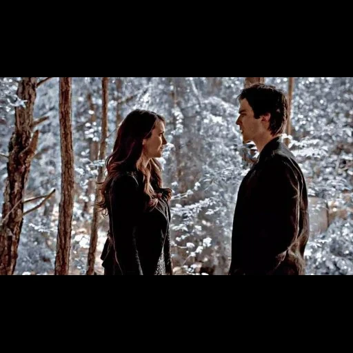 journaux intimes, diarmes de vampire, damon salvatore, les journaux de vampire, damon salvatore elena gilbert