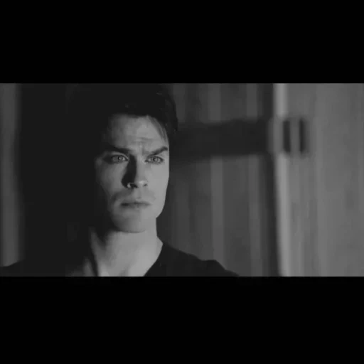 bidang film, halo saudara, damon salvatore, damon salvatore, damon salvatore enzo