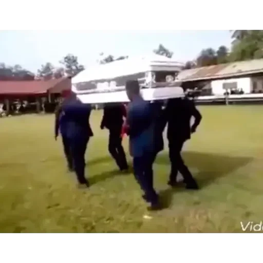 vídeo, coffin dance, la danza della bara, coffin dance meme, nero che balla la bara