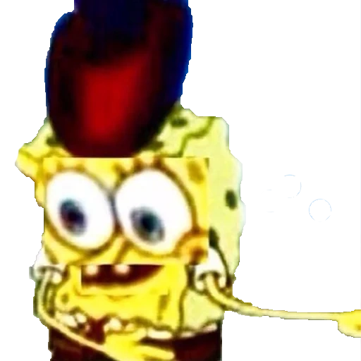 garçon, bob l'éponge, sponge bob meme, meme spongebob, sponge bob hat