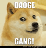 the doge, die meme des hundes, der hund, chai dog dog, the dog emperor