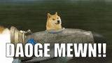 doge, dogecoin, doge meme, meme per cani, doge rocket