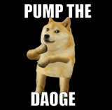 doge, мемы, прикол, doge без фона, танцующий doge